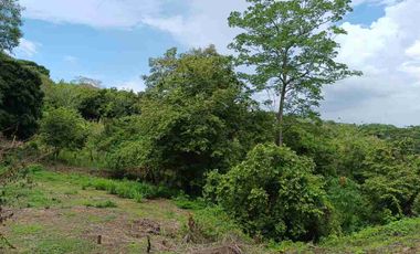 Finca de 5 has con hermosa vista de Cartagena.