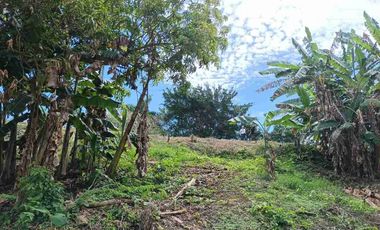 Finca de 5 has con hermosa vista de Cartagena.