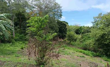 Finca de 5 has con hermosa vista de Cartagena.