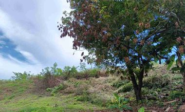 Finca de 5 has con hermosa vista de Cartagena.