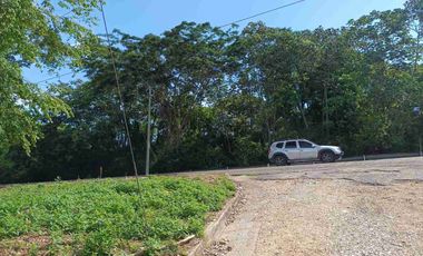 Finca de 5 has con hermosa vista de Cartagena.