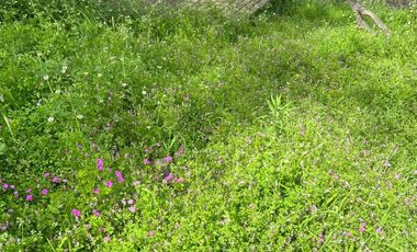 Venta Parcela en Villa Alemana, Quebrada escobar