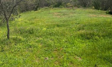 Venta Parcela en Villa Alemana, Quebrada escobar