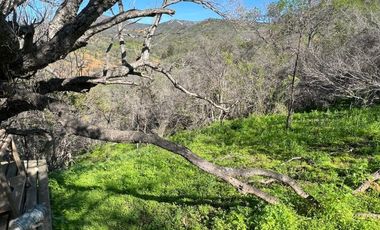 Venta Parcela en Villa Alemana, Quebrada escobar