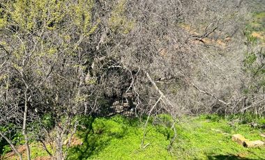 Venta Parcela en Villa Alemana, Quebrada escobar