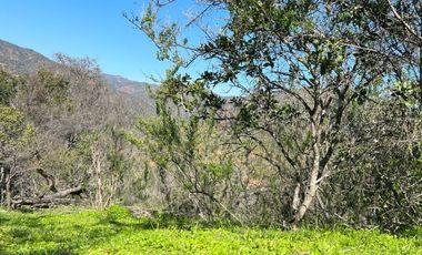 Venta Parcela en Villa Alemana, Quebrada escobar