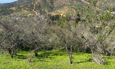 Venta Parcela en Villa Alemana, Quebrada escobar