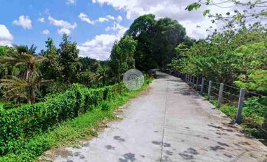 10 Hectares Titled Land for Sale in - [ Alaminos Laguna ] - 3,000 Per Sqm Price - Right Beside Ayala and SM Development - Have Fast Access to Metro Manila