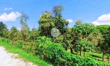 10 Hectares Titled Land for Sale in - [ Alaminos Laguna ] - 3,000 Per Sqm Price - Right Beside Ayala and SM Development - Have Fast Access to Metro Manila