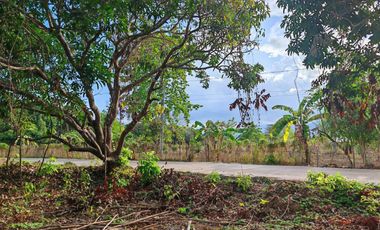 1,138 m2 / 12,249 ft2 | Residential Estate in an Upscale Neighborhood