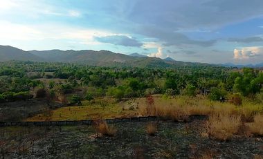 1,138 m2 / 12,249 ft2 | Residential Estate in an Upscale Neighborhood