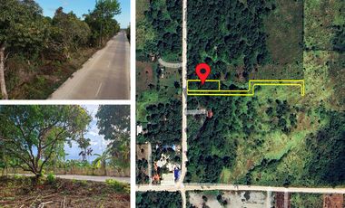 1,138 m2 / 12,249 ft2 | Residential Estate in an Upscale Neighborhood