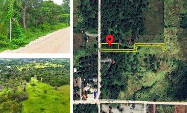 1,138 m2 / 12,249 ft2 | Residential Estate in an Upscale Neighborhood