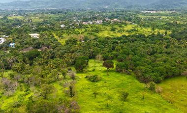 1,138 m2 / 12,249 ft2 | Residential Estate in an Upscale Neighborhood