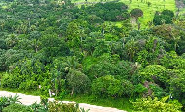 1,138 m2 / 12,249 ft2 | Residential Estate in an Upscale Neighborhood