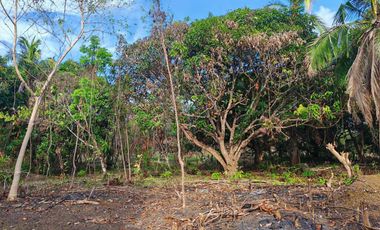 1,138 m2 / 12,249 ft2 | Residential Estate in an Upscale Neighborhood