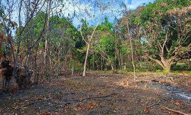 1,138 m2 / 12,249 ft2 | Residential Estate in an Upscale Neighborhood