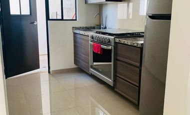 Departamento en renta en zona volkswagen Outlet