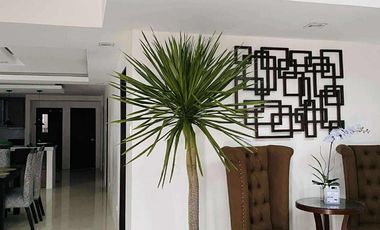 *Elegant Modern Home