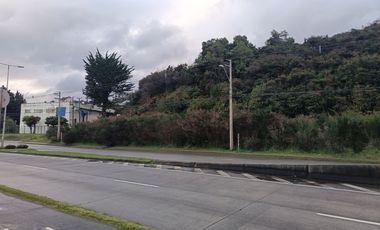 Terreno Av. Juan Soler Madredini (REBAJADO), camino a Pelluco, cercano a caleta Pichi Pelluco