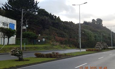 Terreno Av. Juan Soler Madredini (REBAJADO), camino a Pelluco, cercano a caleta Pichi Pelluco