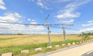 For sale 200 hectares lot in barangay Lennec Guimba Nueva ecija