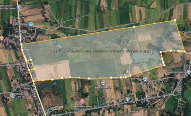 For sale 200 hectares lot in barangay Lennec Guimba Nueva ecija
