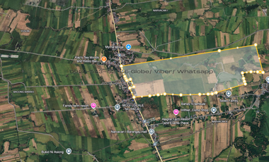 For sale 200 hectares lot in barangay Lennec Guimba Nueva ecija