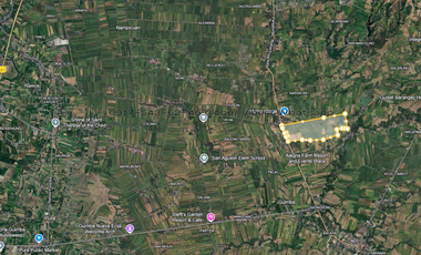 For sale 200 hectares lot in barangay Lennec Guimba Nueva ecija