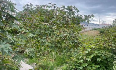 Terreno de venta en la mitad del mundo, 840 m2. Quito , Ecuador.