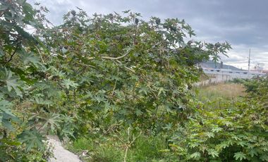 Terreno de venta en la mitad del mundo, 840 m2. Quito , Ecuador.