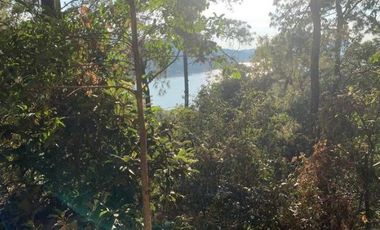 Renta de Cabaña con vista al lago