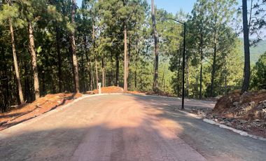 TERRENO EN VENTA EN MAZAMITLA