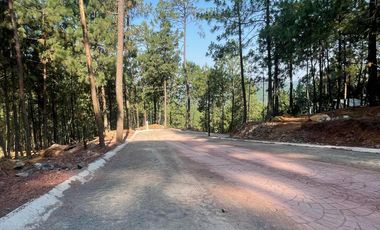 TERRENO EN VENTA EN MAZAMITLA