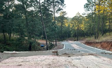 TERRENO EN VENTA EN MAZAMITLA