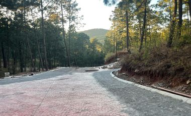 TERRENO EN VENTA EN MAZAMITLA