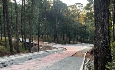 TERRENO EN VENTA EN MAZAMITLA