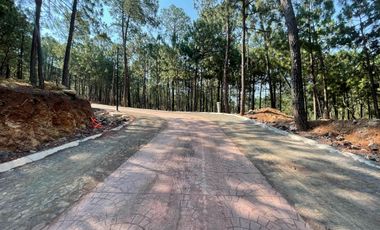 TERRENO EN VENTA EN MAZAMITLA