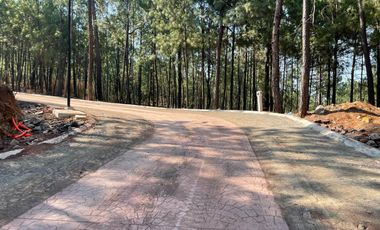 TERRENO EN VENTA EN MAZAMITLA
