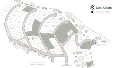 TERRENO EN VENTA EN MAZAMITLA