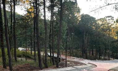 TERRENO EN VENTA EN MAZAMITLA