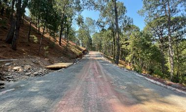 TERRENO EN VENTA EN MAZAMITLA