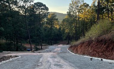 TERRENO EN VENTA EN MAZAMITLA