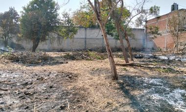 TERRENO CON ESCRITURAS