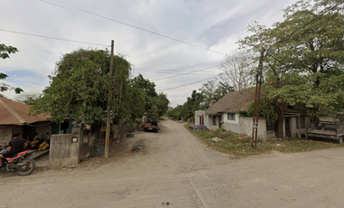 Casa Pino Suárez, Col de Fatima, Tanquián de Escobedo, S.L.P., México NO CREDITOS