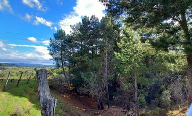TERRENO CHUDAL / PORTEZUELO / REGIÓN DE ÑUBLE