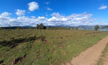 TERRENO CHUDAL / PORTEZUELO / REGIÓN DE ÑUBLE