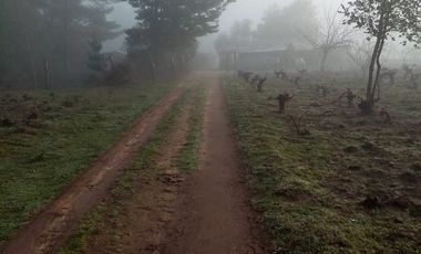 TERRENO CHUDAL / PORTEZUELO / REGIÓN DE ÑUBLE