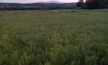 TERRENO CHUDAL / PORTEZUELO / REGIÓN DE ÑUBLE