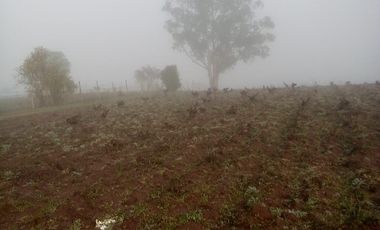 TERRENO CHUDAL / PORTEZUELO / REGIÓN DE ÑUBLE